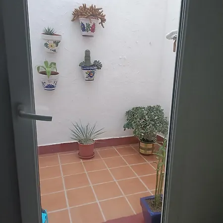 Apartment Apartamento Oceanographic Valencia